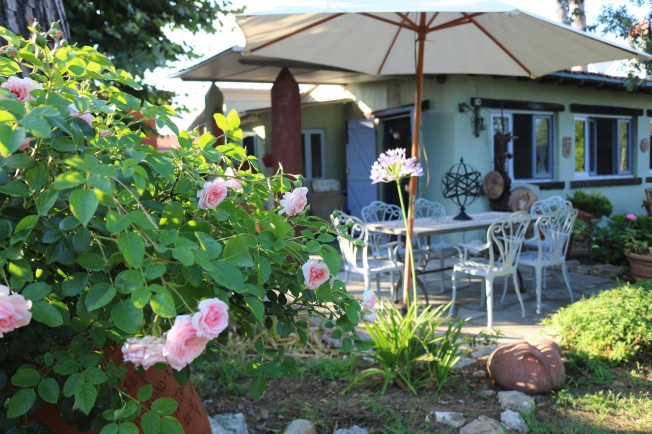 Lo Chalet Dell'Artista Torre del Lago Puccini Kültér fotó