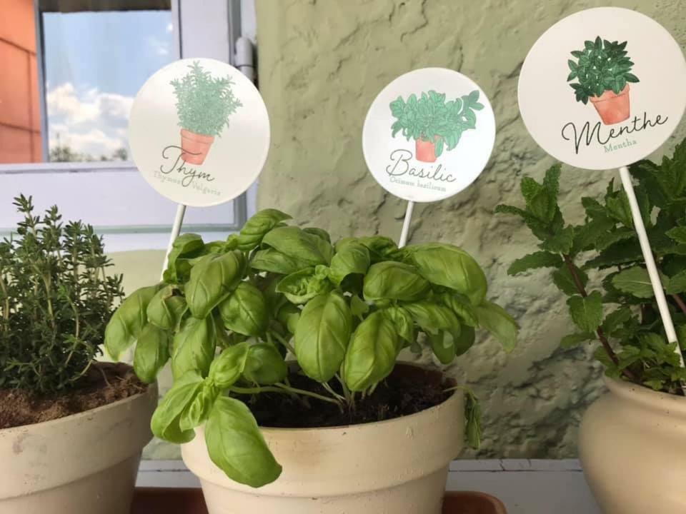 Lo Chalet Dell'Artista Torre del Lago Puccini Kültér fotó