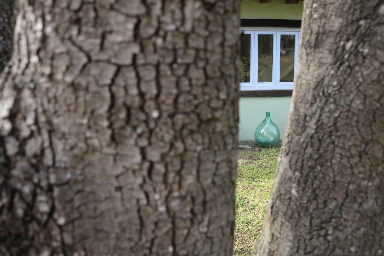 Lo Chalet Dell'Artista Torre del Lago Puccini Kültér fotó